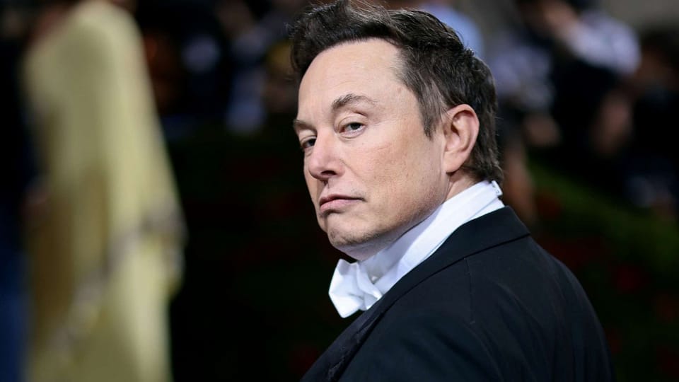 Elon Musk: a 21st Century Rhodes